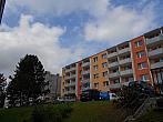 Borovina