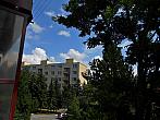 Borovina
