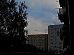 Borovina
