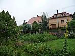 Třibřichy
