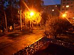Borovina