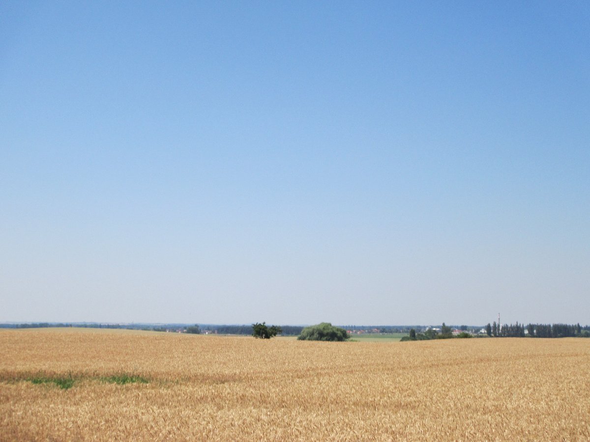 Ostrá