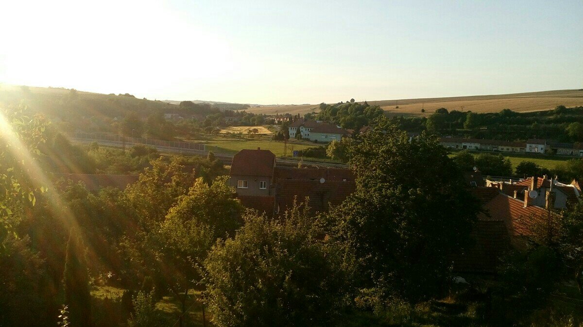 Nesovice