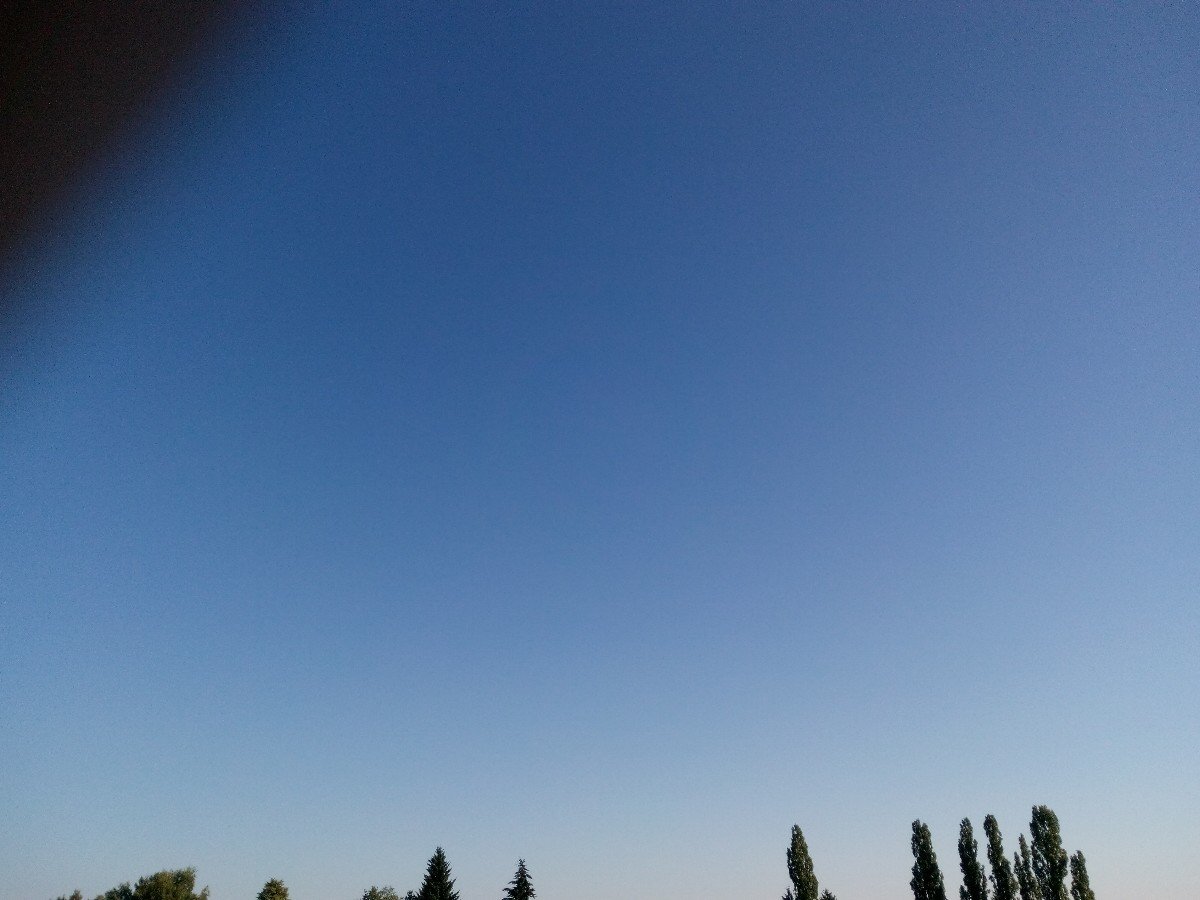 Světice