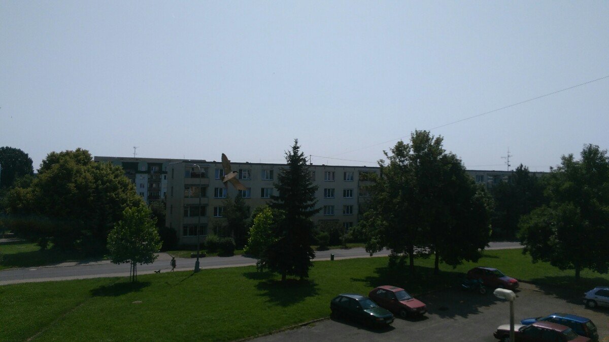 Postoloprty