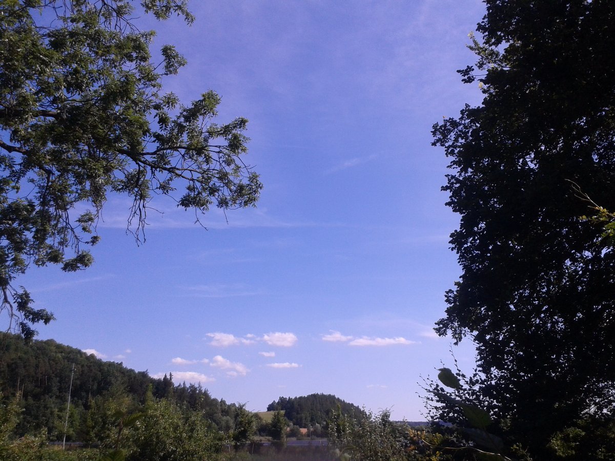 Vidov