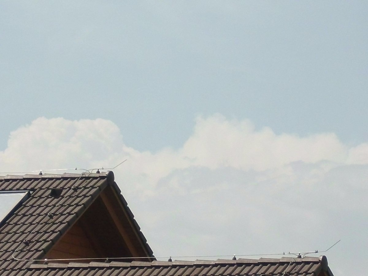 Zajíčkov