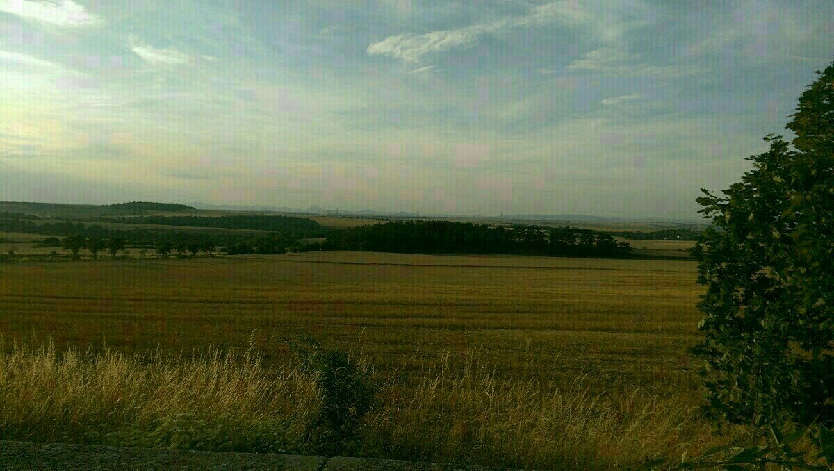 Slaný