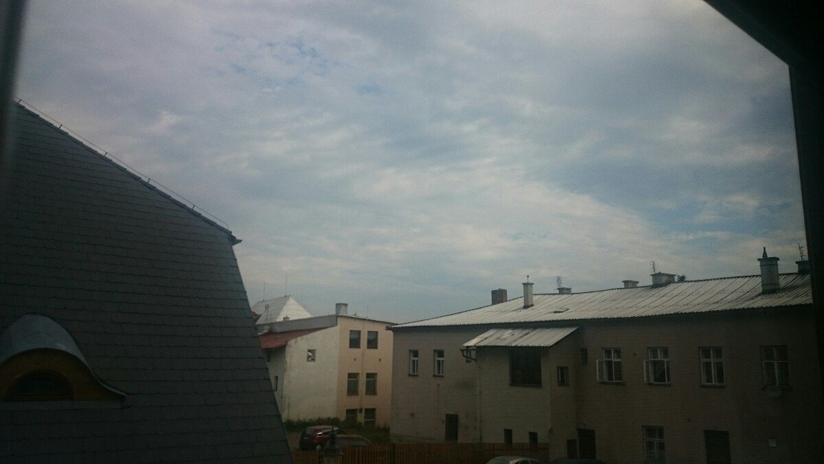 Králíky
