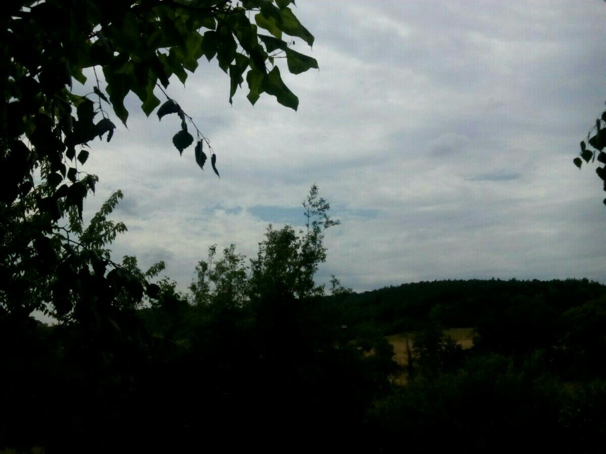 Habrovany