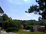 Borovina