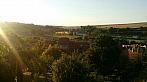 Nesovice