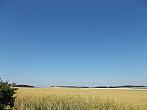 Hostákov