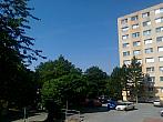 Borovina