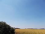Hostákov