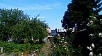 Krnov
