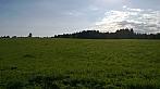 Oloví