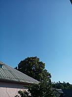 Ostarva