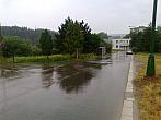 Borovina
