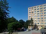 Borovina