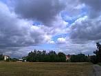 Borovina