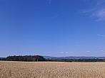 Vidov