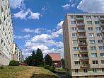 Borovina