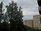 Borovina