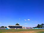Borovina