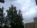 Borovina