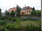 Třibřichy
