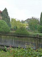Třibřichy