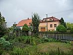 Třibřichy