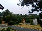 Borovina