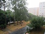 Borovina