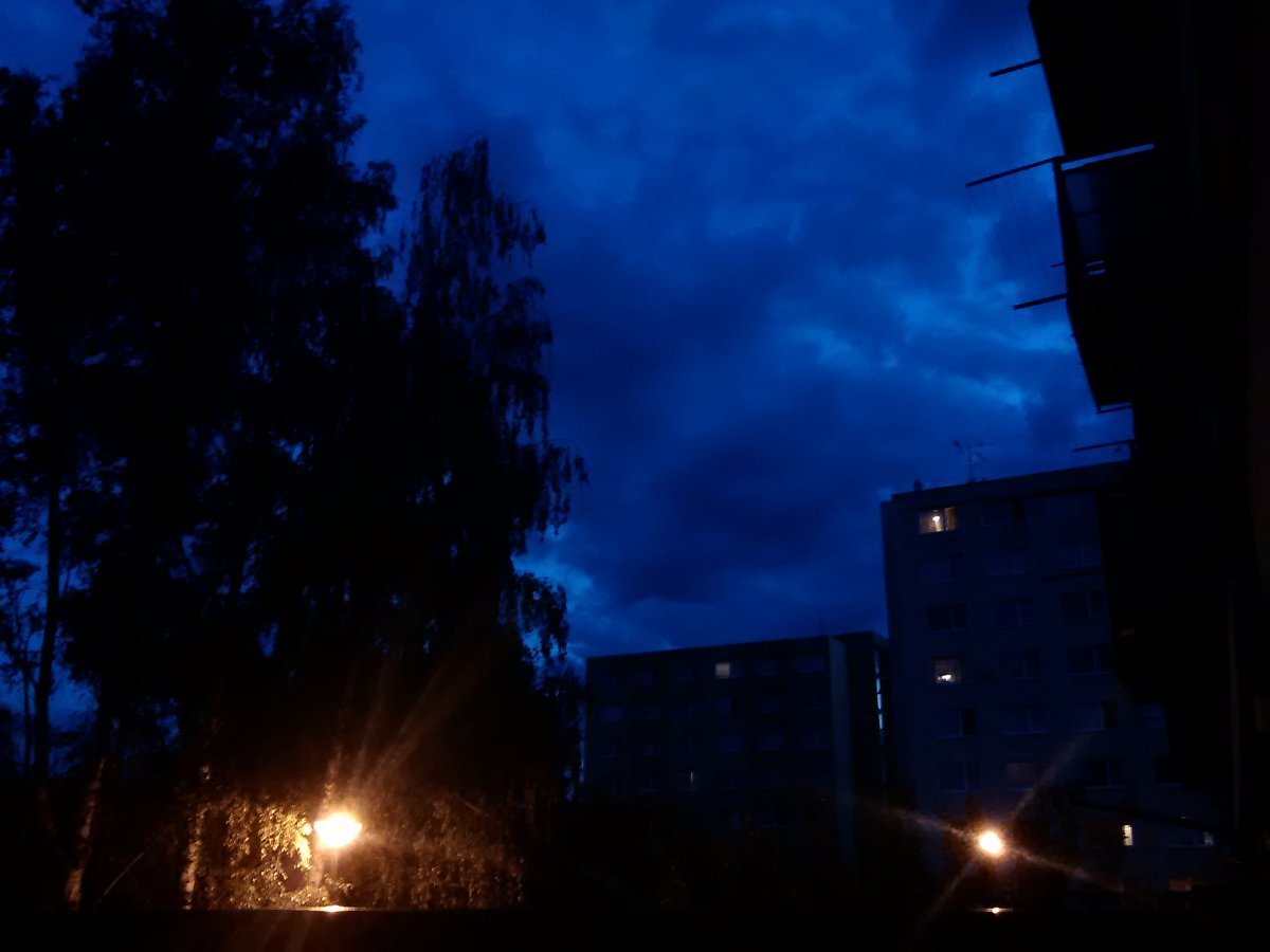 Borovina