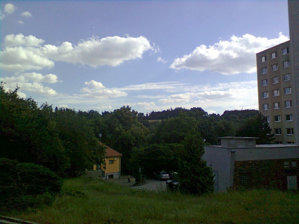Borovina