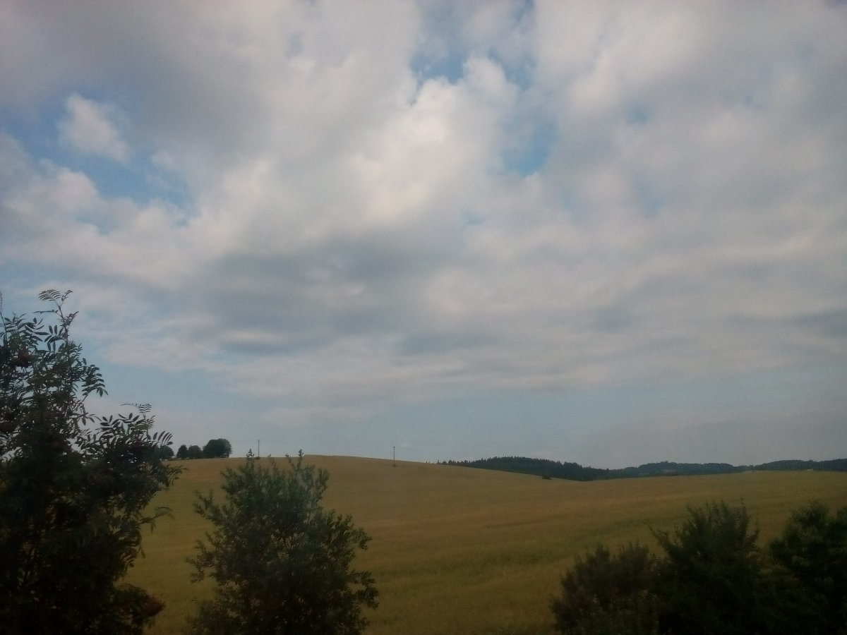 Třešť