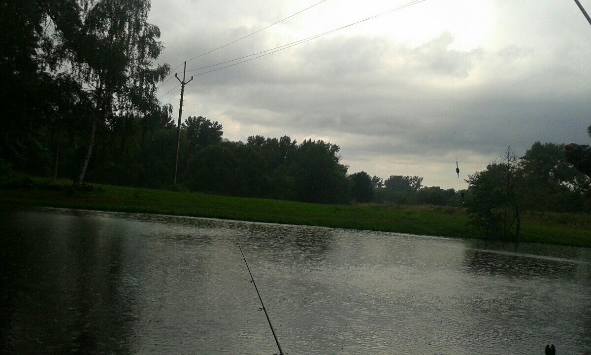Ostarva