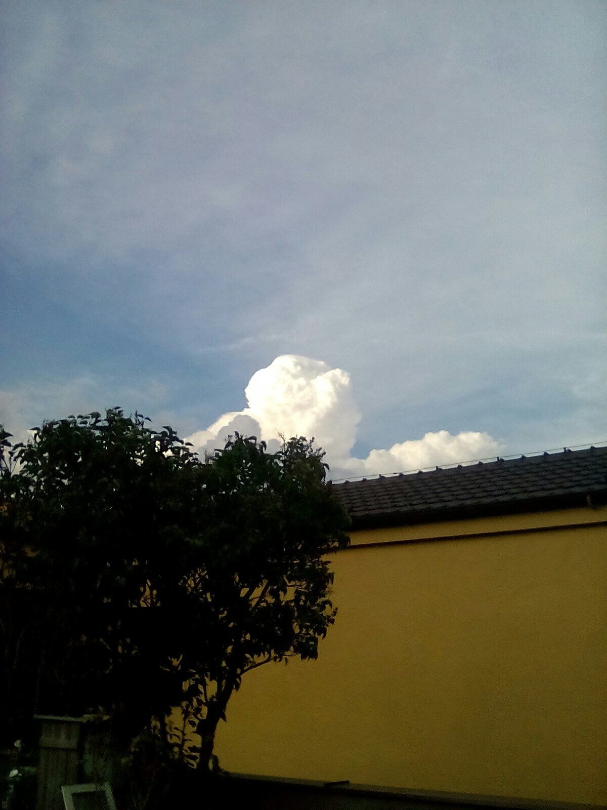Mochov