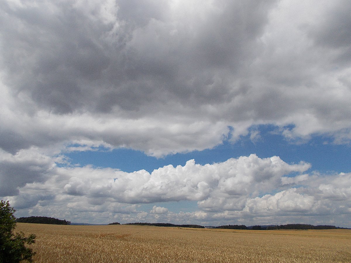 Hostákov
