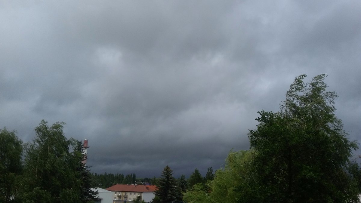 Polička