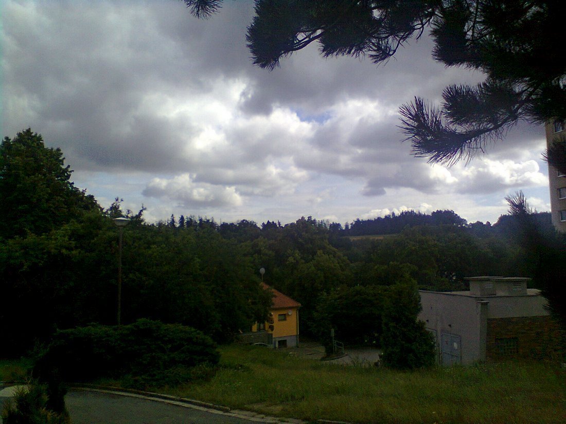 Borovina