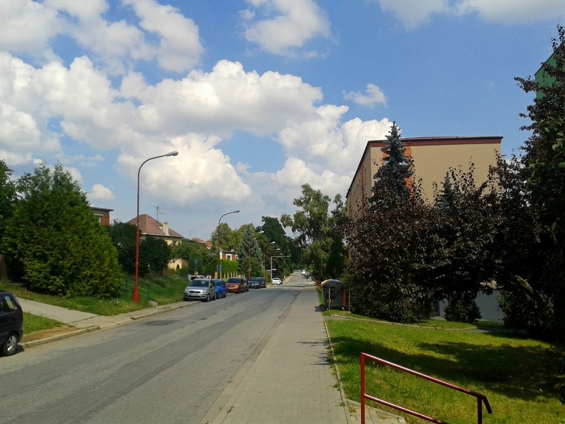 Borovina