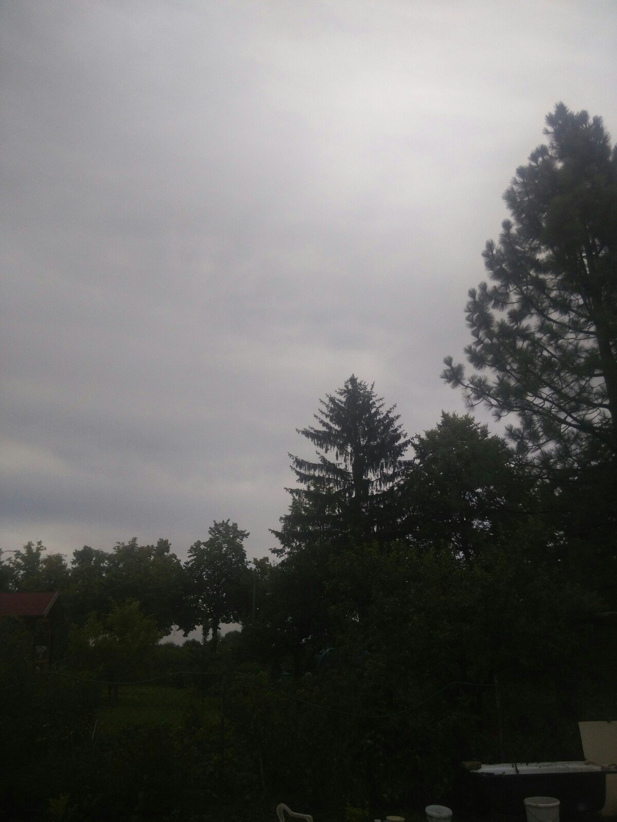 Trhové Sviny