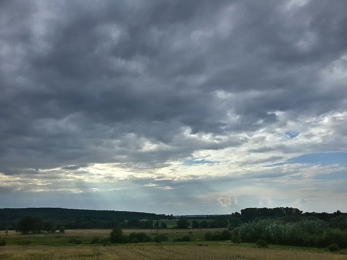 Vidov