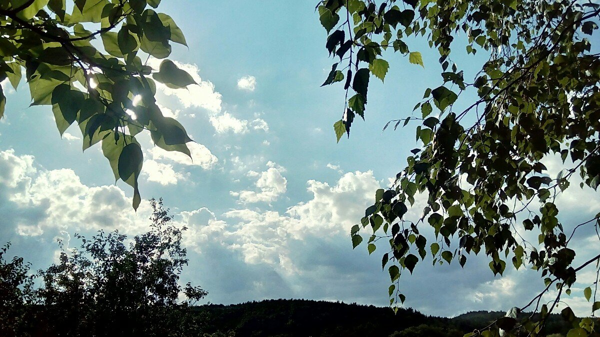 Habrovany