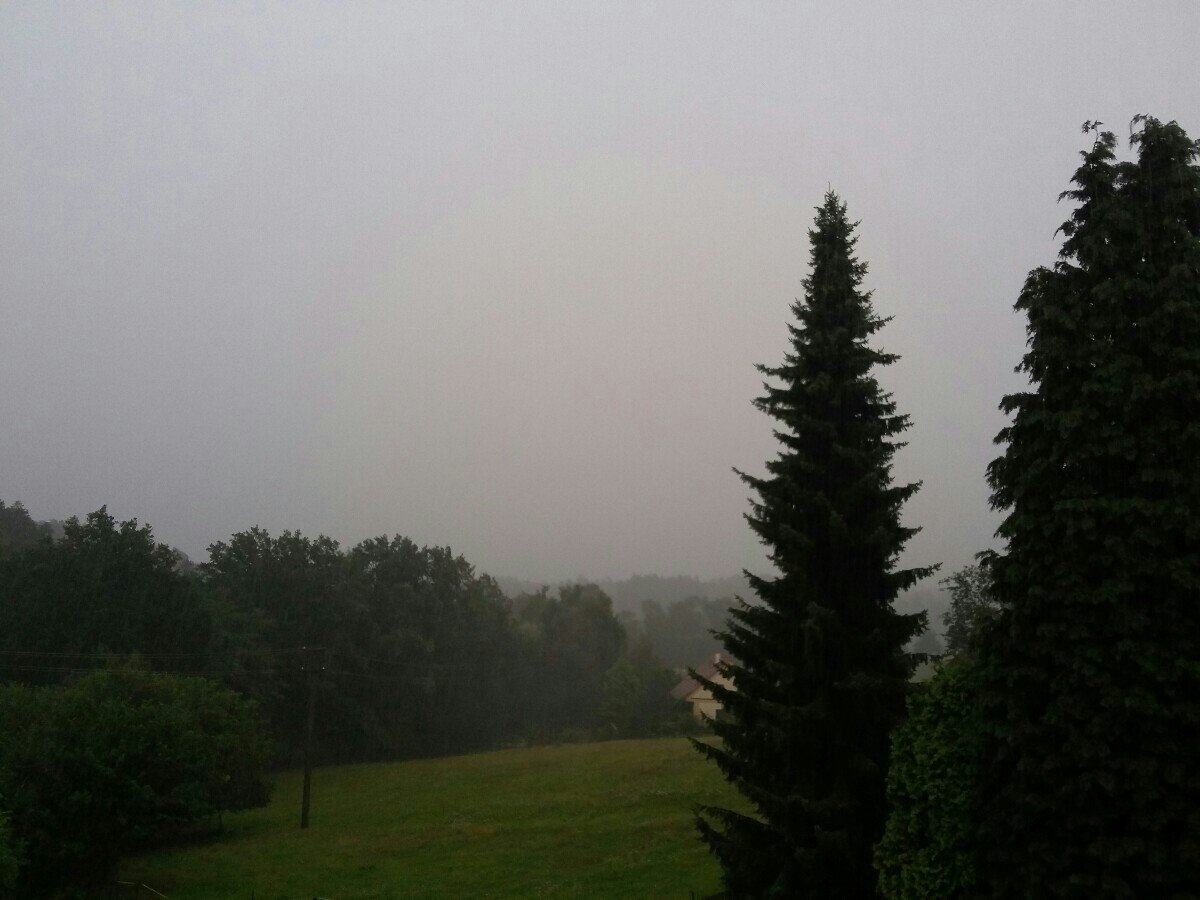 Druztová