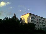 Borovina