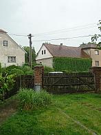 Třibřichy
